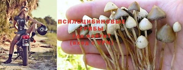 ECSTASY Алексин
