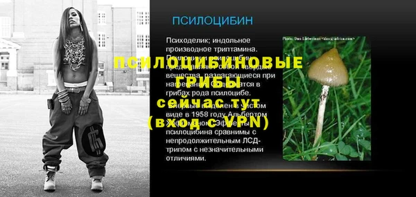 ECSTASY Алексин
