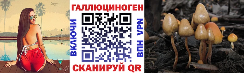 Псилоцибиновые грибы ЛСД  kraken ONION  Алупка  дарнет шоп 
